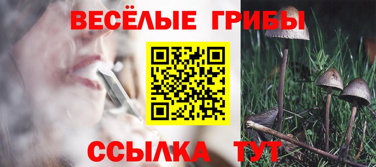 Псилоцибиновые грибы Magic Shrooms Майкоп