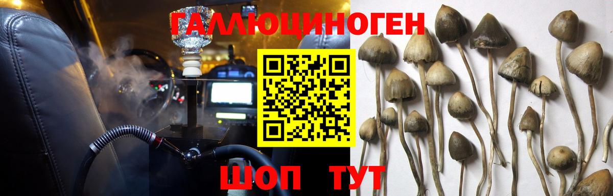 Майкоп  Псилоцибиновые грибы мухоморы  купить наркоту  Вход с VPN 